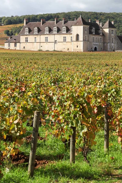 Castle of Clos de Vougeot in Burgundy, France — Stock Photo, Image