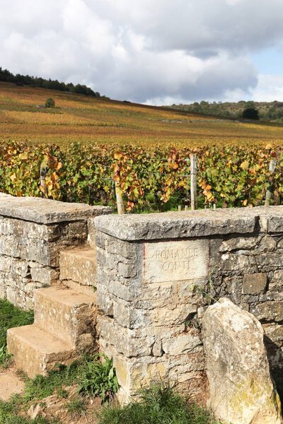 Пейзаж с виноградниками Romanee Conti в Бургундии, Франция
 