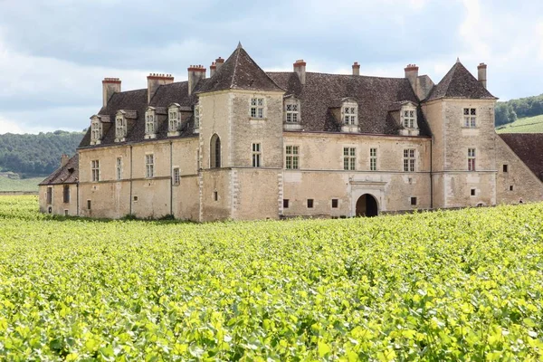 Κάστρο Του Clos Vougeot Βουργουνδία Γαλλία — Φωτογραφία Αρχείου