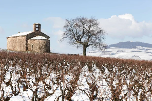 Krajobraz Kaplicy Saint Pierre Beaujolais Sezonie Zimowym Francja — Zdjęcie stockowe