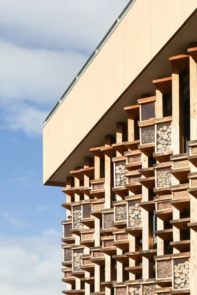 Insekt Hotell Vägg Byggnad — Stockfoto