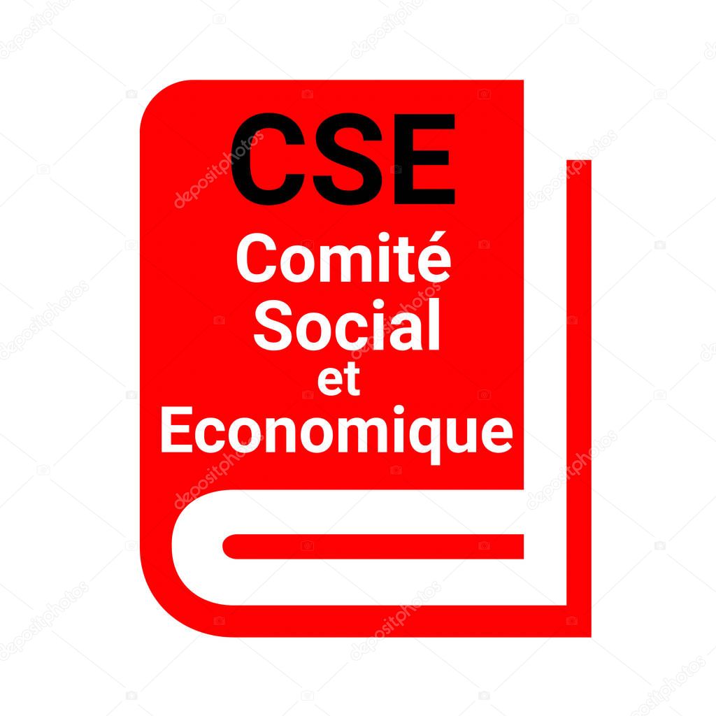 Social and Economic Committee called CSE in France