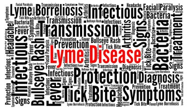 Lyme hastalığı kelime bulutu illüstrasyon 