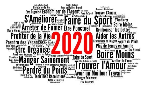 Resoluties 2020 Woord Cloud Concept Franse Taal — Stockfoto