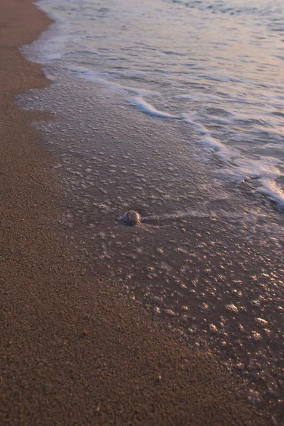 Deniz kıyısında taş — Stok fotoğraf