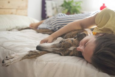 Köpek yatak odasında dinleniyor.