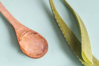 Taze Aloe vera şampuanı 