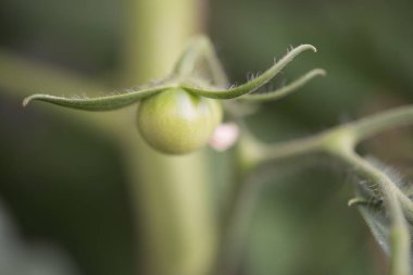 fotoğraf yüksek kaliteli gerçek sahne