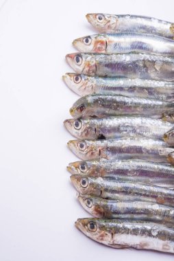 Beyaz arka plan üzerinde izole taze çiğ sardalya