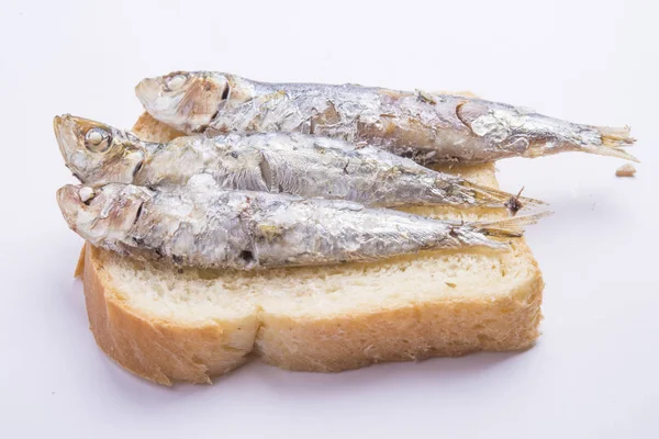 Stekta sardiner på tallriken — Stockfoto