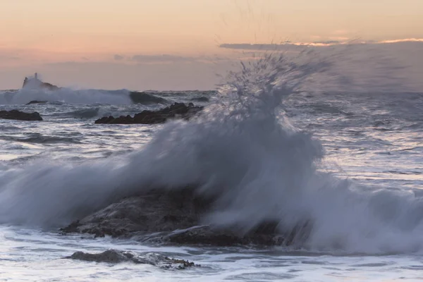 Kivi meren rannalla — kuvapankkivalokuva