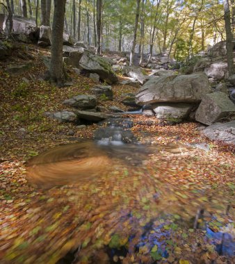 Gerçek sahne, yüksek kalite fotoğraf.