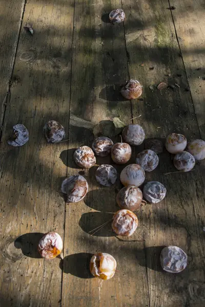 Ciruelas sobre fondo de madera — Foto de Stock