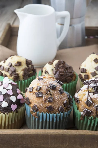 Muffins de chocolate — Fotografia de Stock