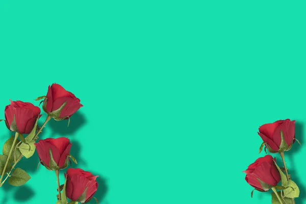 Rosas rojas en fondo verde —  Fotos de Stock