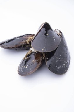 Beyaz arkaplanda yalıtılmış midyeler