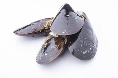 Beyaz arkaplanda yalıtılmış midyeler