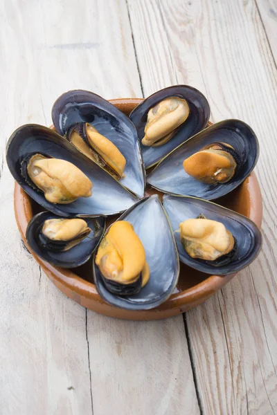 Gourmet mussels — Stock Photo, Image