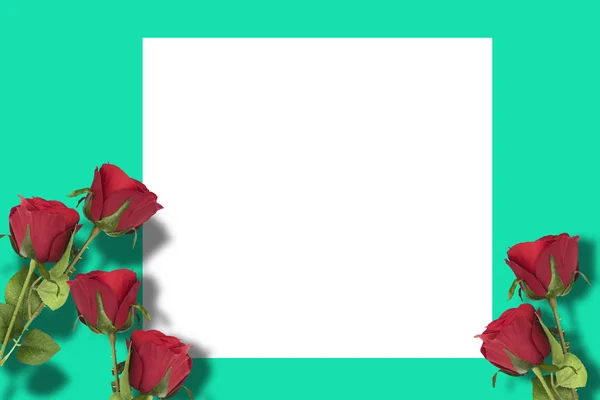 Κόκκινα τριαντάφυλλα με πράσινο φόντο και λευκό πλαίσιο — Φωτογραφία Αρχείου