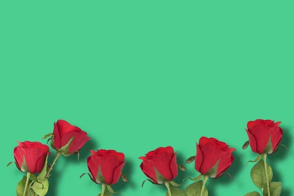 Rosas rojas en fondo verde —  Fotos de Stock