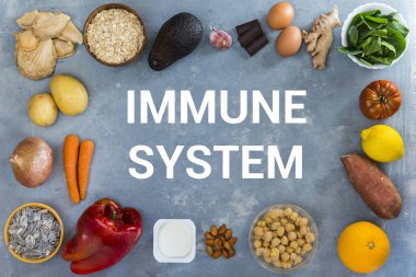 Savunmayı arttırmak için gereken malzemeler üst görünüm