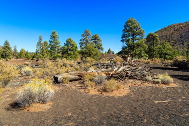 gün batımı krater yanardağ