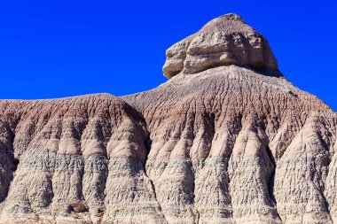 Arizona taşlaşmış orman