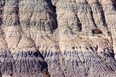 Arizona taşlaşmış orman çöl manzara görünümünü kapat.