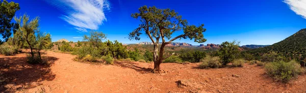 Sedona woestijn schoonheid — Stockfoto