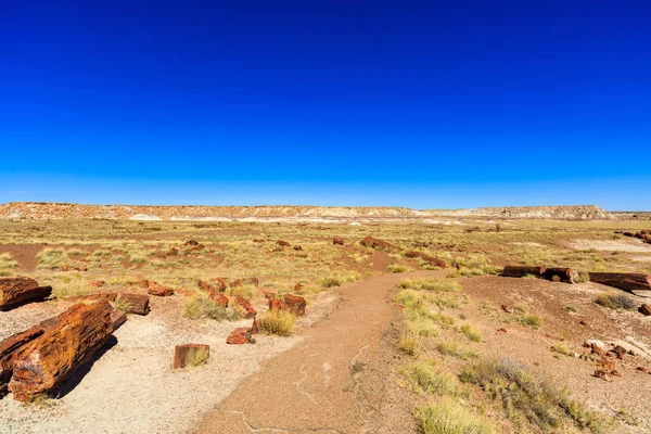 Arizona petrified forest — Stock Photo, Image