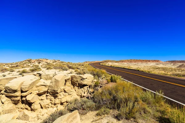 Arizona förstenade skogen — Stockfoto