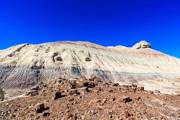 Arizona zkamenělý Les — Stock fotografie