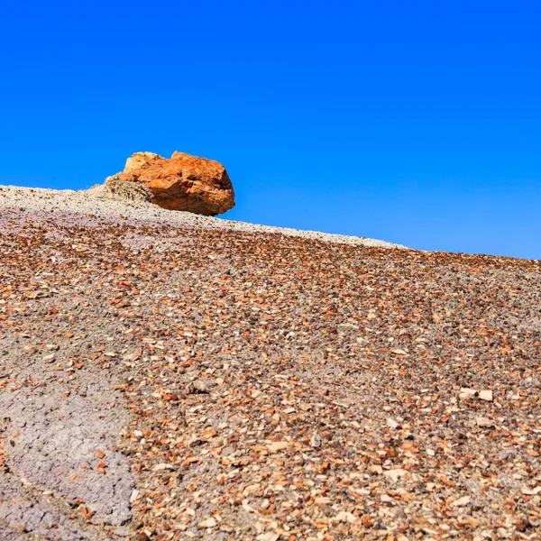 Arizona zkamenělý Les — Stock fotografie