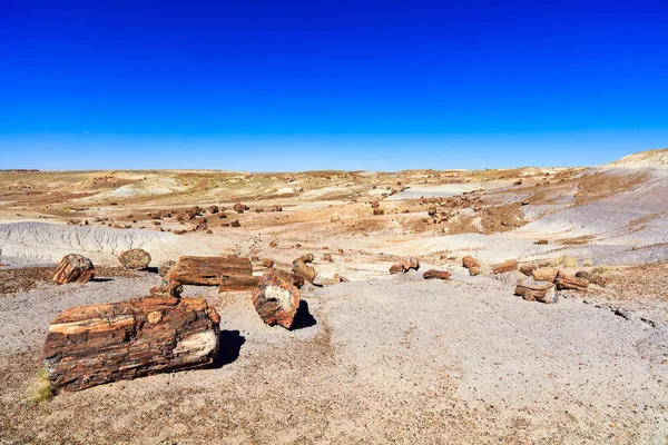 Arizona forêt pétrifiée — Photo