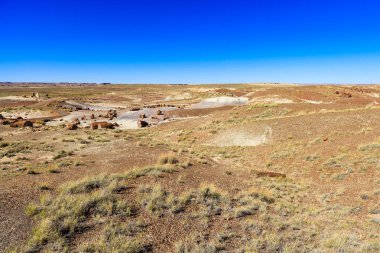 Peyzaj taş orman Arizona çöl.