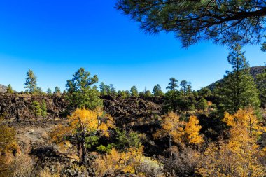 Günbatımı krater volkan Flagstaff, Arizona'nın doğal güzelliği.