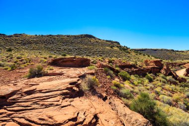 Arizona çöl manzarası