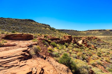 Arizona çöl manzarası