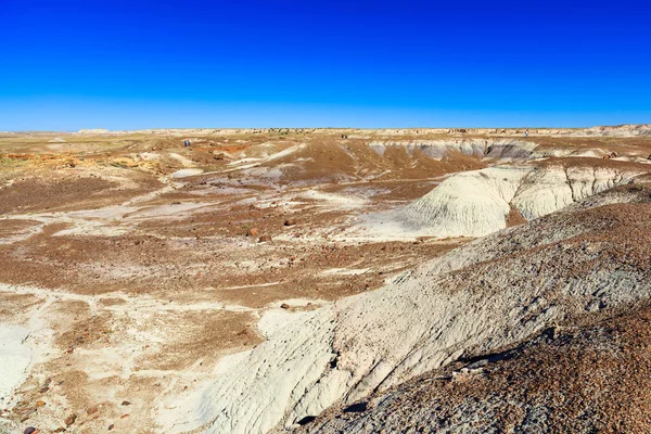 Arizona petrified forest — Stock Photo, Image