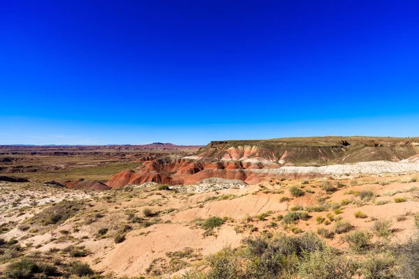 Paisagem Deserto Floresta Petrificada Arizona — Fotografia de Stock