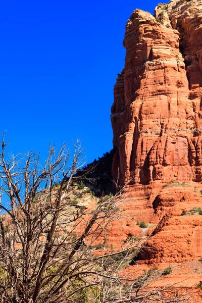 Belleza Natural Los Cañones Roca Roja Arenisca Sedona Arizona — Foto de Stock