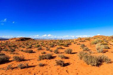 at nalı viraj arizona