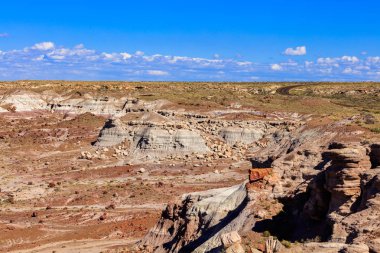 Arizona taşlaşmış orman