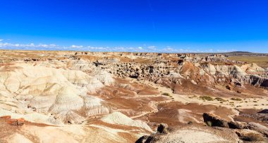 Arizona'da güzel taşlaşmış orman manzara çöl.