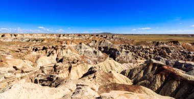 Arizona'da güzel taşlaşmış orman manzara çöl.