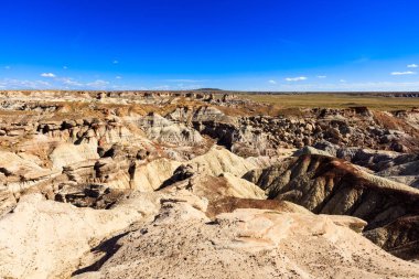 Arizona'da güzel taşlaşmış orman manzara çöl.
