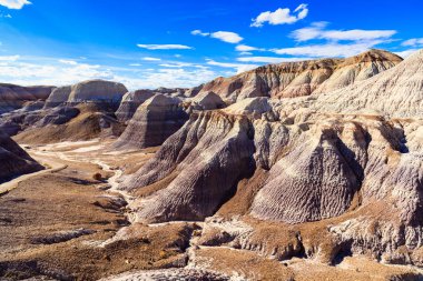 Arizona taşlaşmış orman