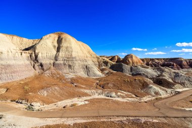 Arizona taşlaşmış orman