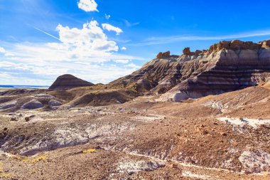 Arizona taşlaşmış orman