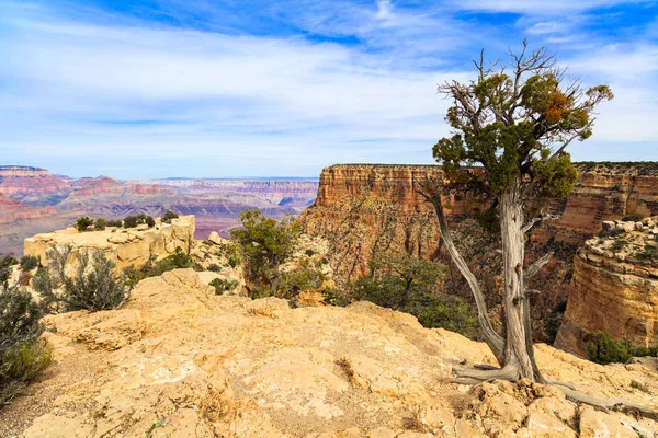 Grand Canyon Paisagem — Fotografia de Stock